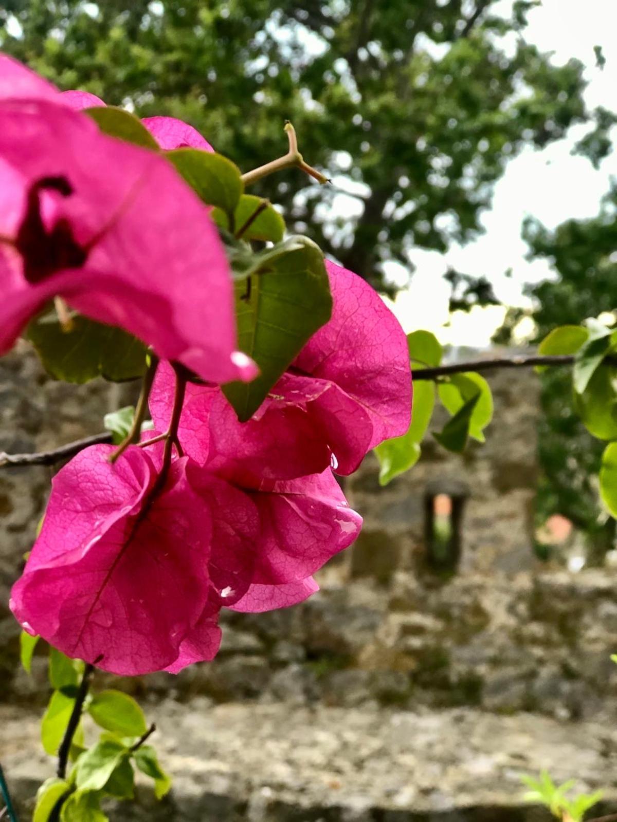 Gasthaus Sideroporta Castle Nafpaktos Exterior foto